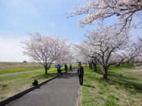 筑波山と愛犬